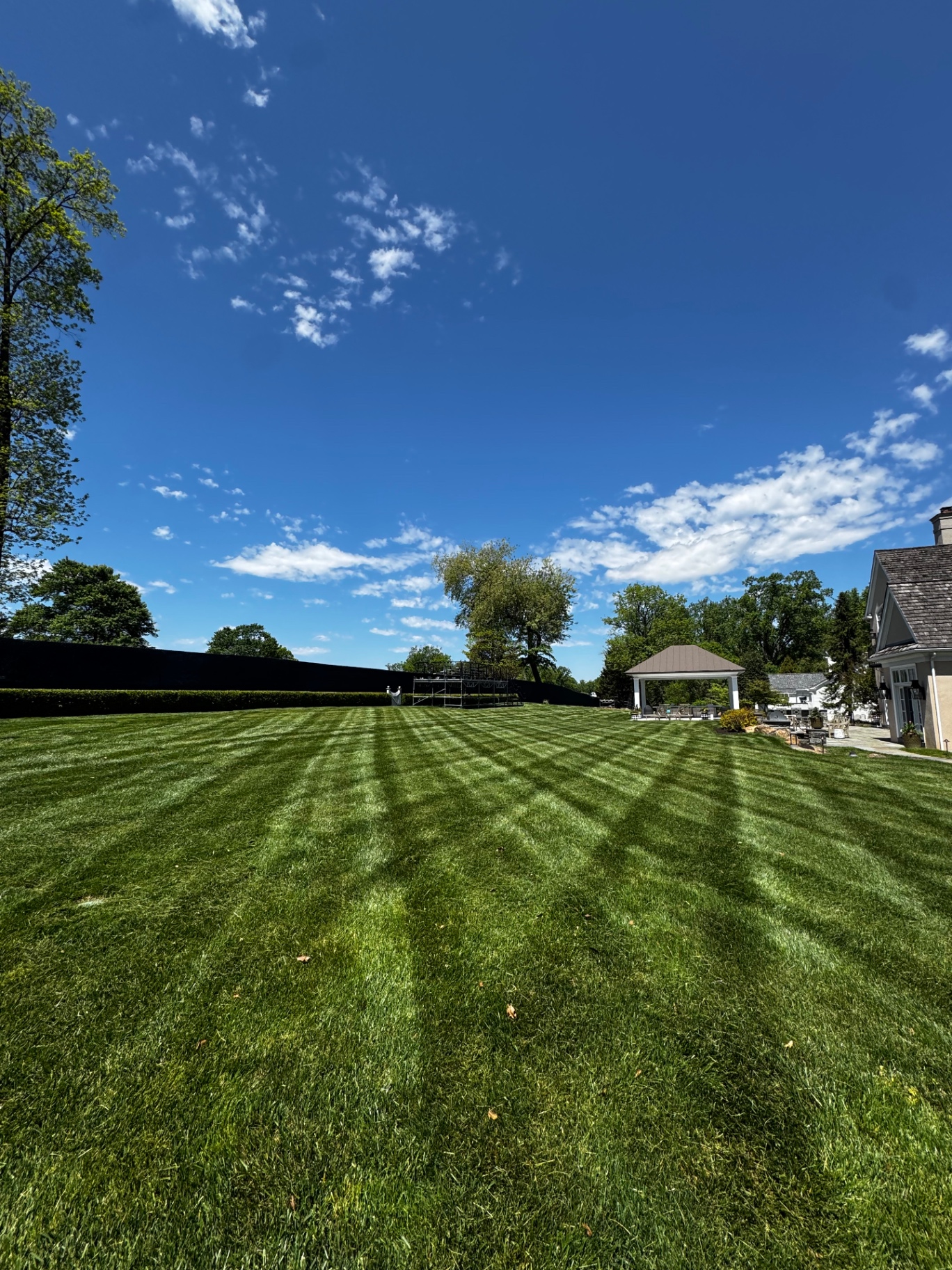 Lawn Mowing